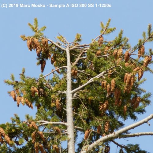 lenscompare - A-1-1250s.jpg