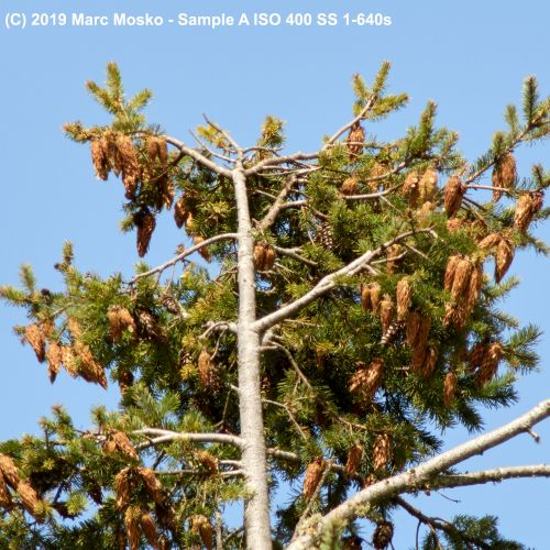 lenscompare - A-1-640s.jpg