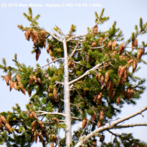 lenscompare - C-1-640s.jpg