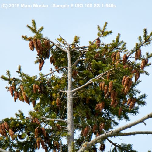 lenscompare - E-1-640s.jpg