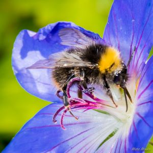 Schloss Dagstuhl, Germany.
Nikon d750, Nikon 28-105 f/3.5-4.5D. photos - DSC_7354.jpg