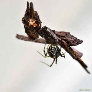 photos - DSC_8963.jpg