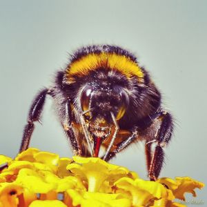 Berlin Garden and Botanical Museum, Berlin, Germany photos - IMG_1949.jpg